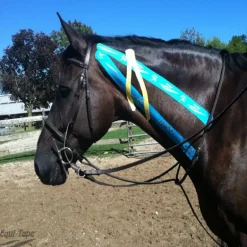 Equi-Tape Cheval Advantage