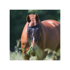 Frontal anti-mouche cheval avec têtière - Waldhausen