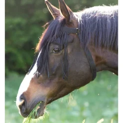 Frontal anti-mouche cheval avec têtière - Waldhausen