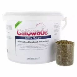 Galow Musclo Muscles Tendons cheval Date courte - Galowade