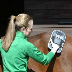 Gant de massage cheval - Equilibrium