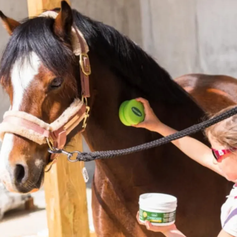 Gel anti-mouche cheval Emouchine Protec Pot - Ravene