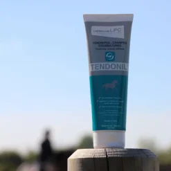 Gel défatigant tendon cheval Tendonil - Lpc