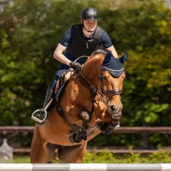 Gilet de protection équitation Adulte P24 Max - Swing