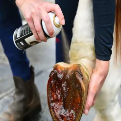 Goudron de Norvège sabot cheval - Gamme du Maréchal