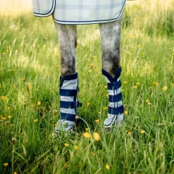 Guêtres anti-mouche anti-uv cheval Newmarket - Horseware