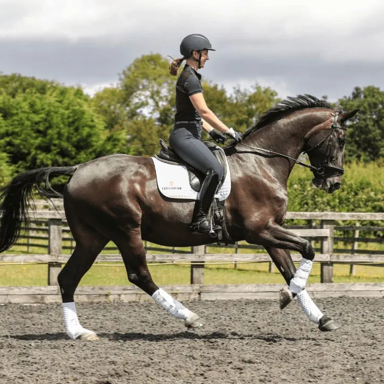 Guêtres cheval Stretch and Flex intégrales - Equilibrium