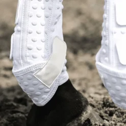 Guêtres cheval Stretch and Flex intégrales - Equilibrium