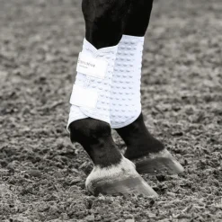 Guêtres cheval Stretch and Flex - Equilibrium