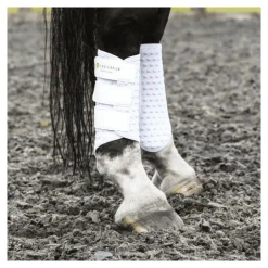 Guêtres cheval Stretch and Flex - Equilibrium