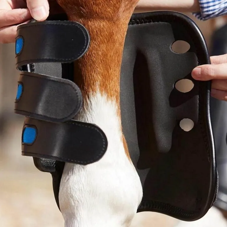 Guêtres de cross cheval Antérieur Air Cooled - Première Equine