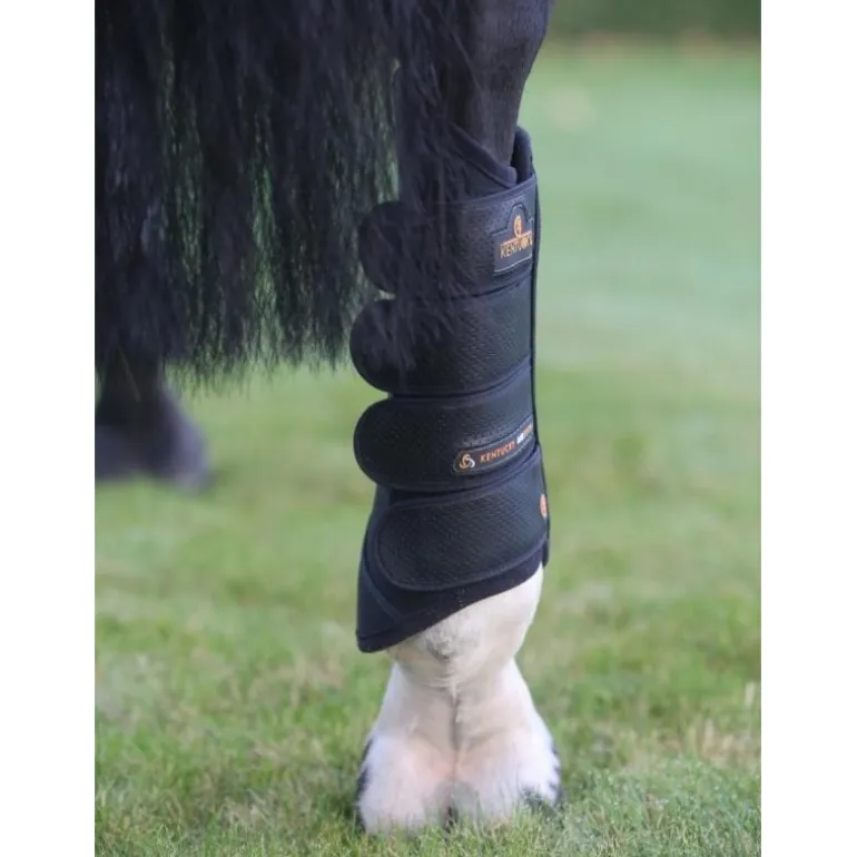 Guêtres de cross cheval postérieures Air Tech - Kentucky