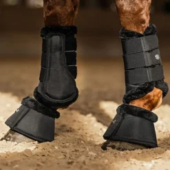 Guêtres de dressage cheval Phoenix - Waldhausen