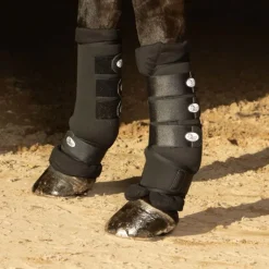 Guêtres de repos cheval Pads - Harry's Horse