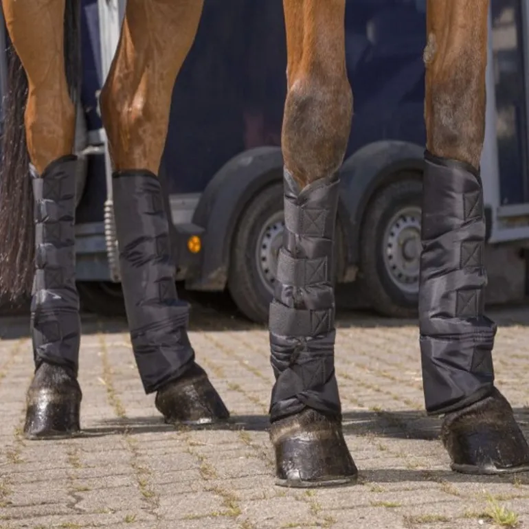 Guêtres de transport cheval économiques (x4) - Riding World