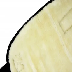 Guêtres de transport cheval économiques (x4) - Riding World