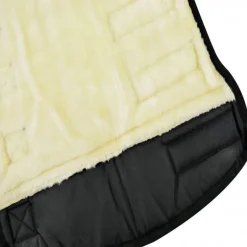 Guêtres de transport cheval économiques (x4) - Riding World