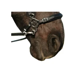 Hackamore nose part haute qualité Calli - F.r.a