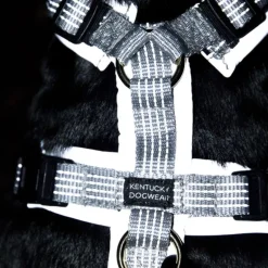 Harnais pour chien réfléchissant Active Reflective - Kentucky Dogwear