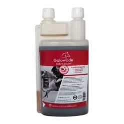 Harpa Galow - Harpagophytum/cassis/prêle date courte 1L - Galowade