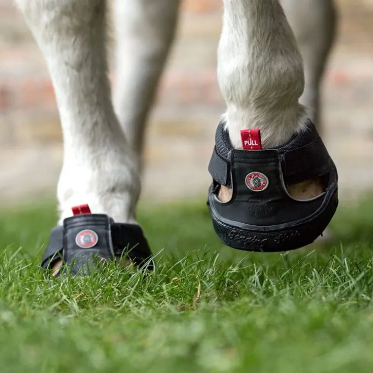 Hipposandale cheval Trekking Slim - Equine Fusion