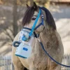 Inhalateur à ultrasons cheval complet Air One Flex sans fil - Hippomed