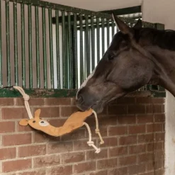 Jouet de box cheval