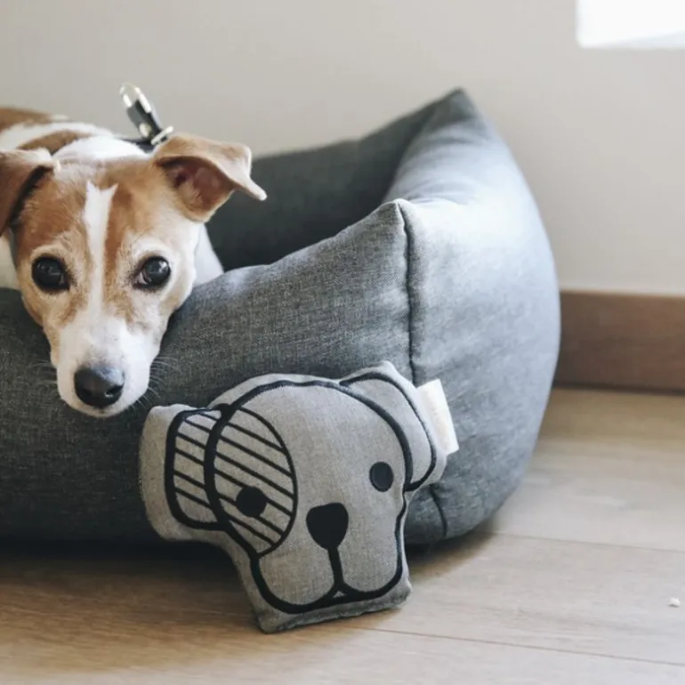 Jouet pour chien Dog Head - Kentucky Dogwear