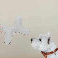 Jouet pour chien os pastel - Kentucky Dogwear