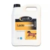 LactoMuscle cheval 5l - Horse Master
