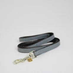 Laisse chien Loop - Kentucky