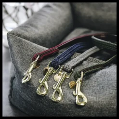 Laisse chien nylon tressé - Kentucky Dogwear