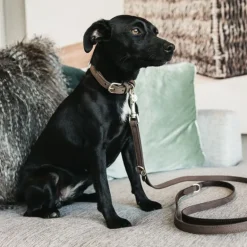 Laisse chien Velvet Leather - Kentucky Dogwear
