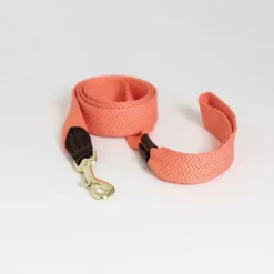 Laisse pour chien Jacquard - Kentucky Dogwear