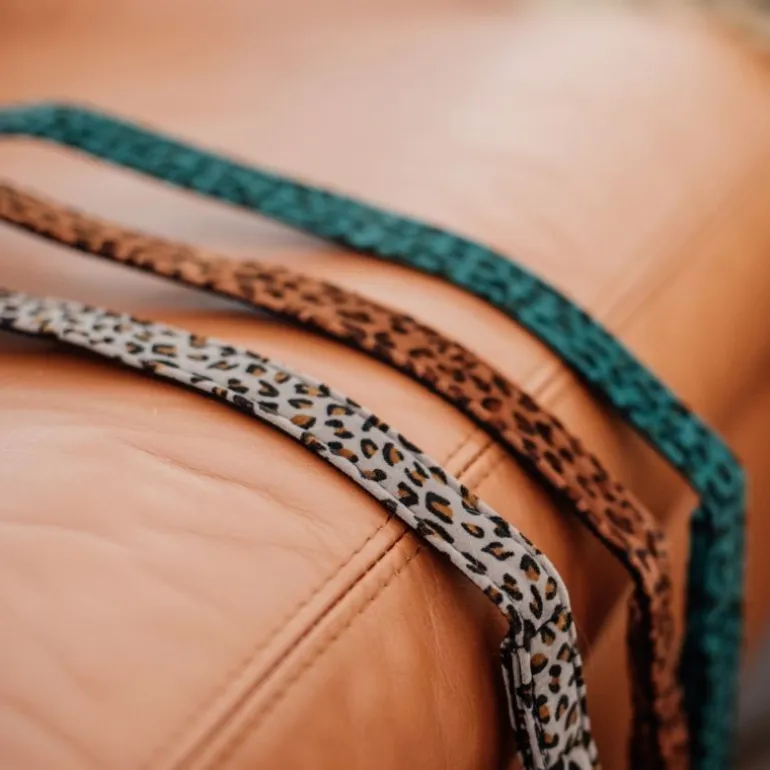 Laisse pour chien Léopard - Kentucky