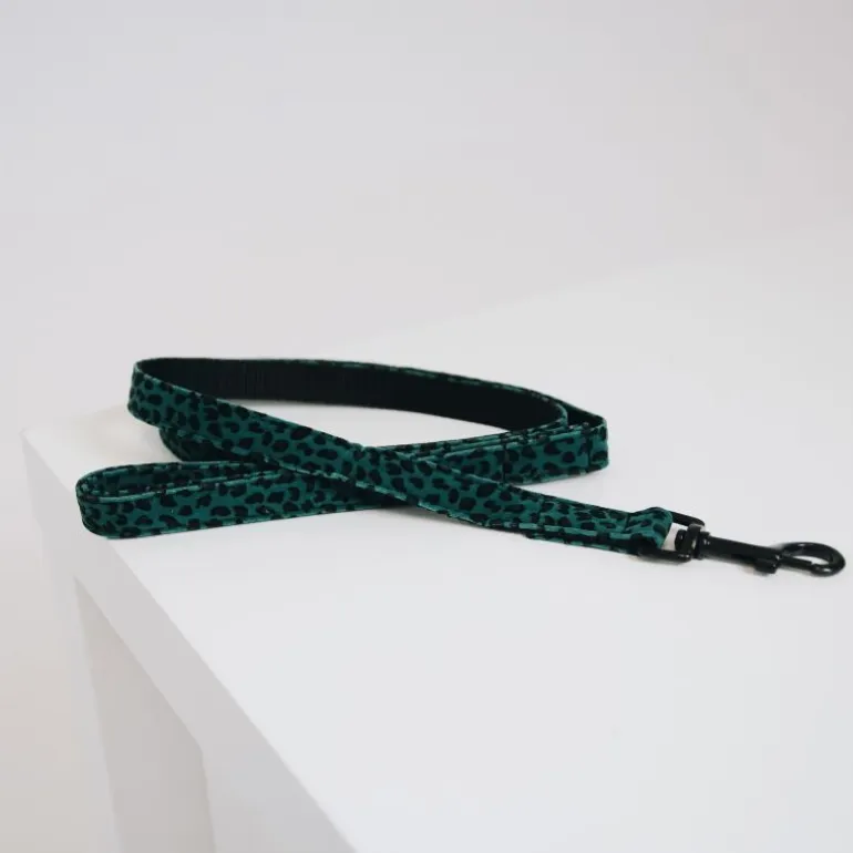 Laisse pour chien Léopard - Kentucky