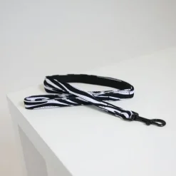 Laisse pour chien Zebra - Kentucky