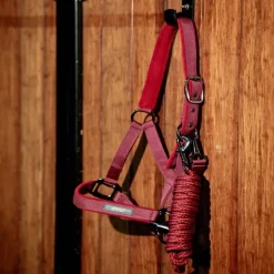 Licol + longe cheval Amigo - Horseware