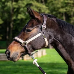 Licol cheval 2 en 1 Transport et Grooming La Cense - Dy'on