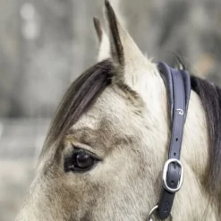 Licol cheval 2 en 1 Transport et Grooming La Cense - Dy'on