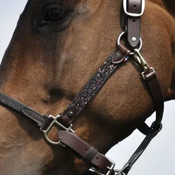 Licol cheval cuir Elegance Disco - IHWT