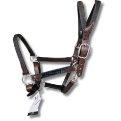 Licol cheval cuir Elegance - IHWT