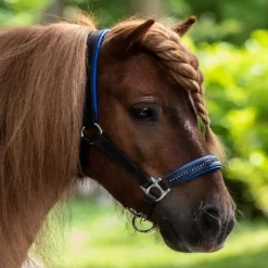 Licol cheval cuir et strass Diamond - Waldhausen