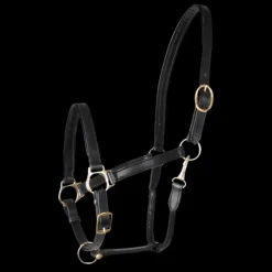 Licol cheval cuir Robust - Waldhausen