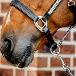 Licol cheval cuir Signature - Horseware