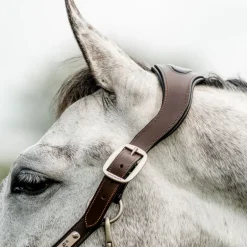 Licol cheval cuir tresse Signature - Horseware