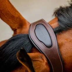 Licol cheval cuir tresse Signature - Horseware