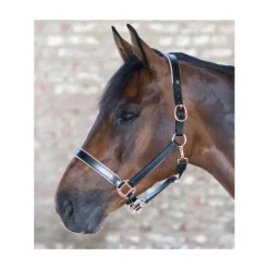 Licol cheval cuir X-Line Rosé - Waldhausen