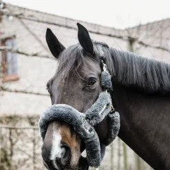 Licol cheval doublé mouton synthétique - Kentucky