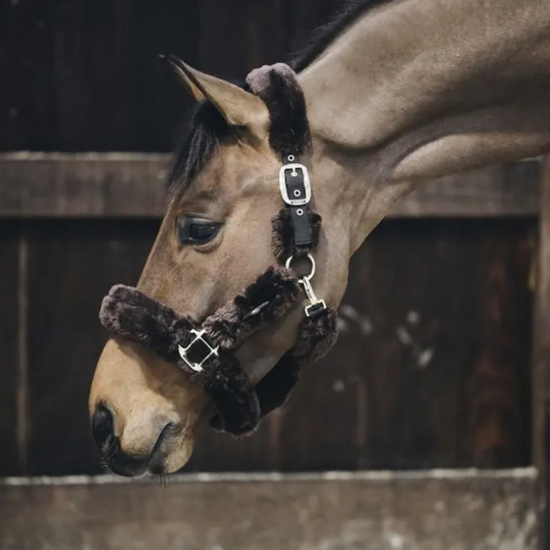 Licol cheval doublé mouton synthétique - Kentucky